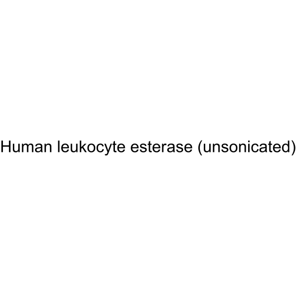 Human leukocyte esterase (unsonicated)